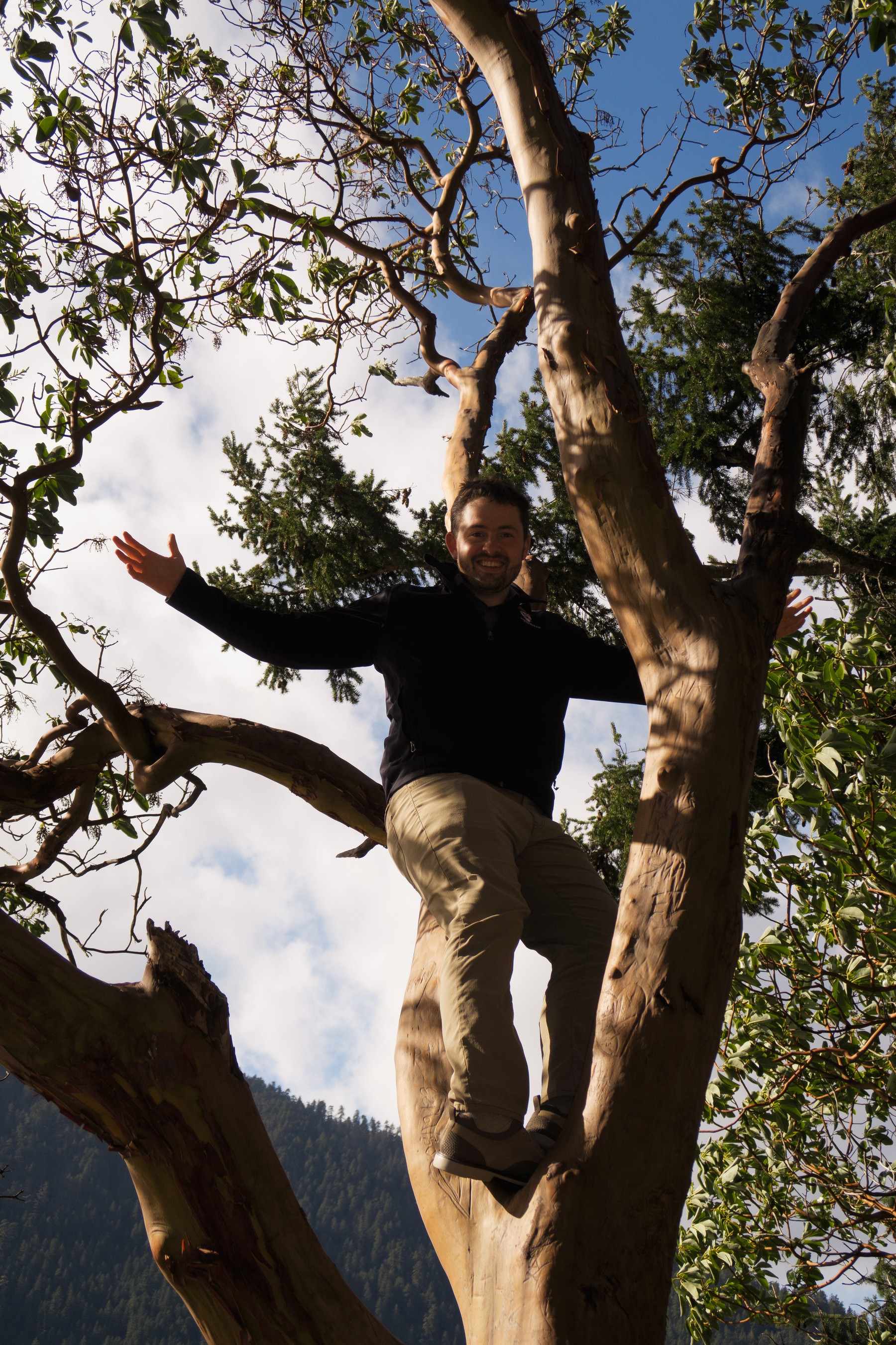 A man is standing on the branches of a tall tree with his arms open wide, surrounded by a blue sky and forested mountains in the background.